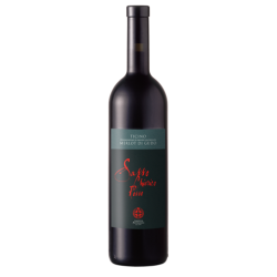 Sasso Chierico Rosso Ticino...